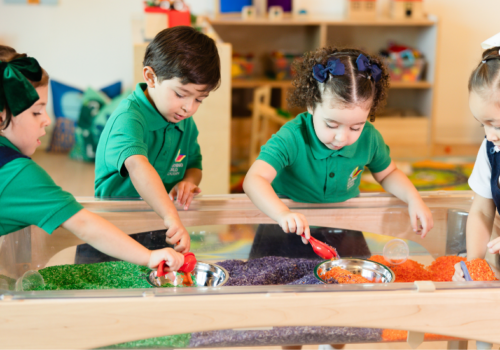 Local Early Childhood Education Programs